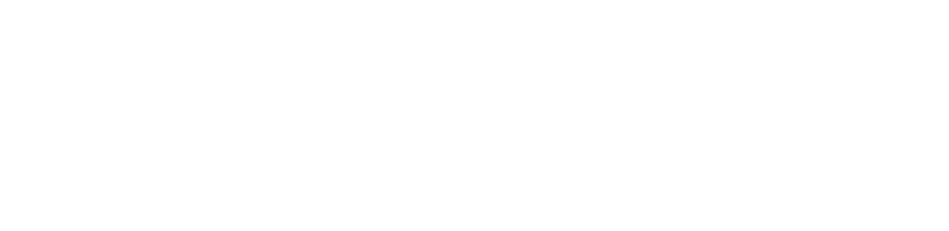 web-bizjak-logotip-lezeci-svetlo-bel