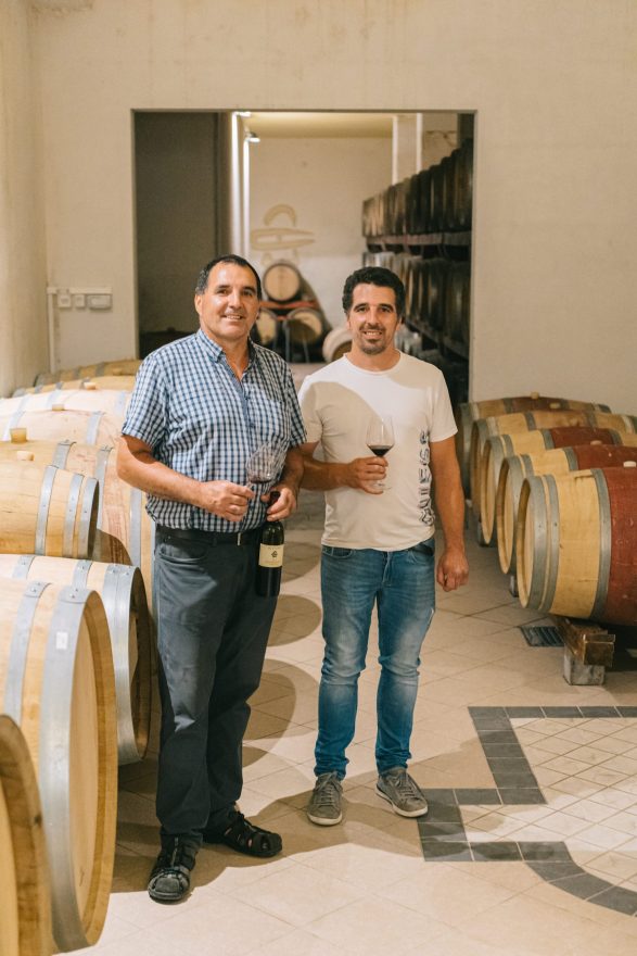 Bizjak Wine cellar Wine Slovenia